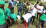 Faculty of Built & Natural Environment (FBNE) embarks on a tree planting exercise on Green Ghana Day